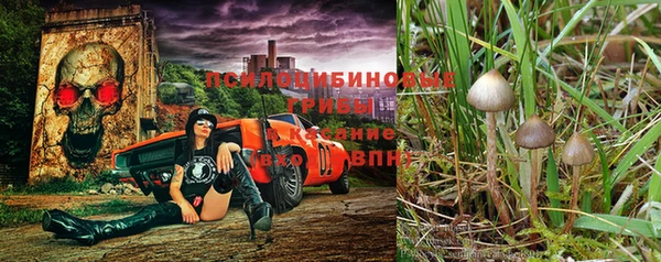 mdpv Алексеевка